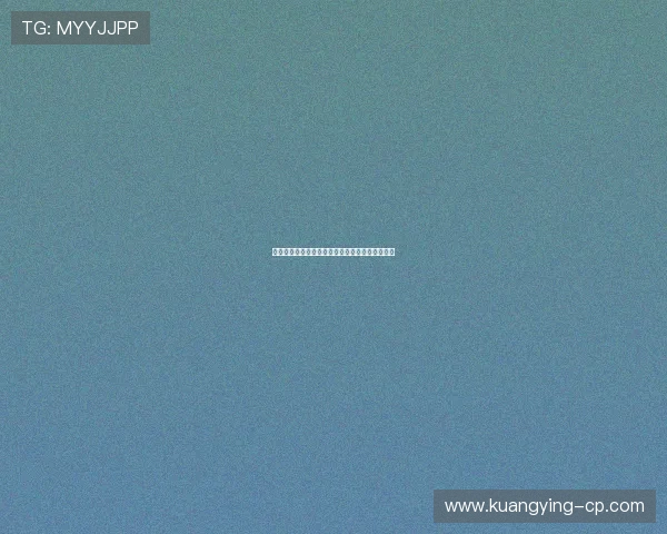 埃尔坎引领全球数字创新潮流助力行业变革与发展 埃尔坎引领全球数字创新潮流助力行业变革与发展